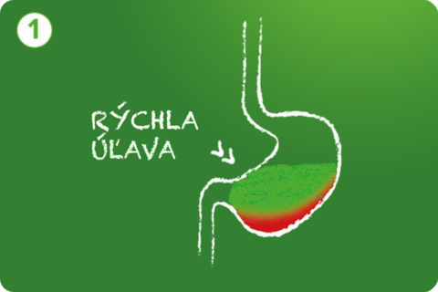 rychla ulava ilustracia